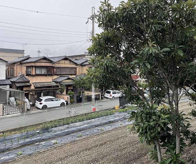 【樫原グリーンハイツ】間取