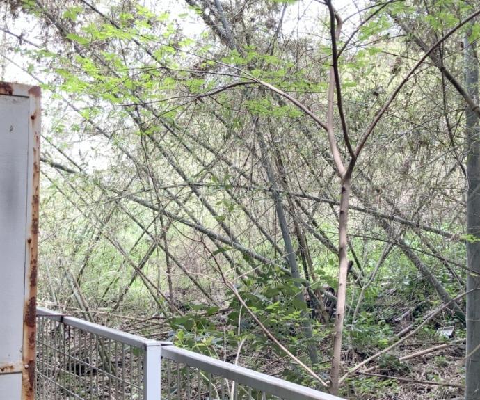 【ヴィラ曽我部】間取