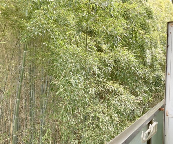 【ヴィラ曽我部】間取