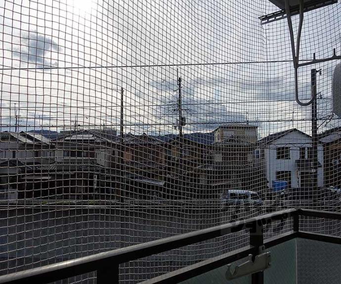 【スクエアメゾン並河】間取