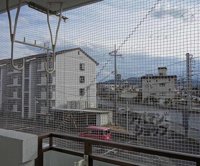 【スクエアメゾン並河】間取