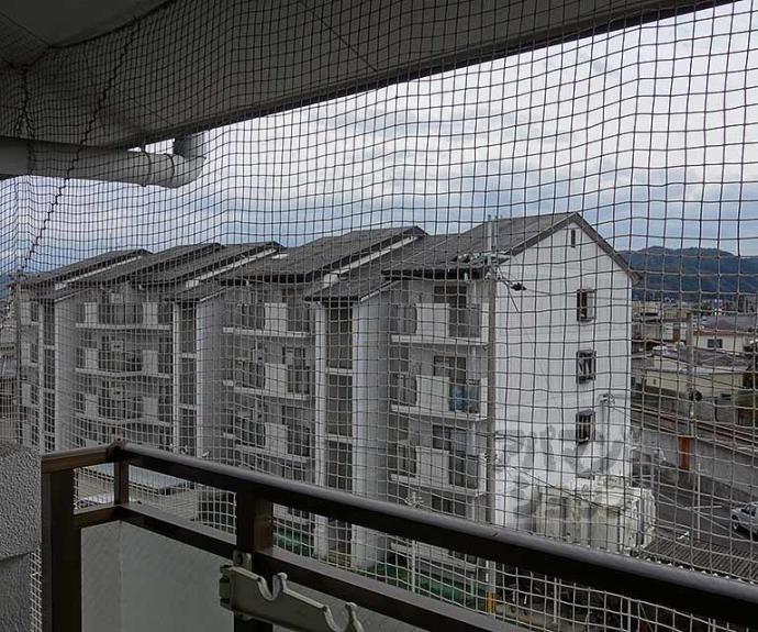 【スクエアメゾン並河】間取