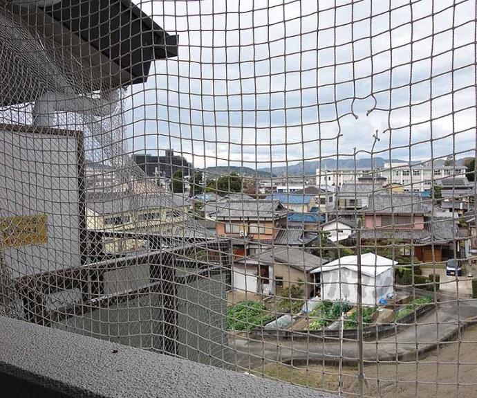 【スクエアメゾン並河】間取