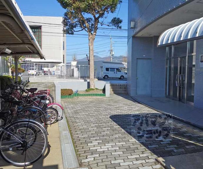 【イスターナ今井】間取