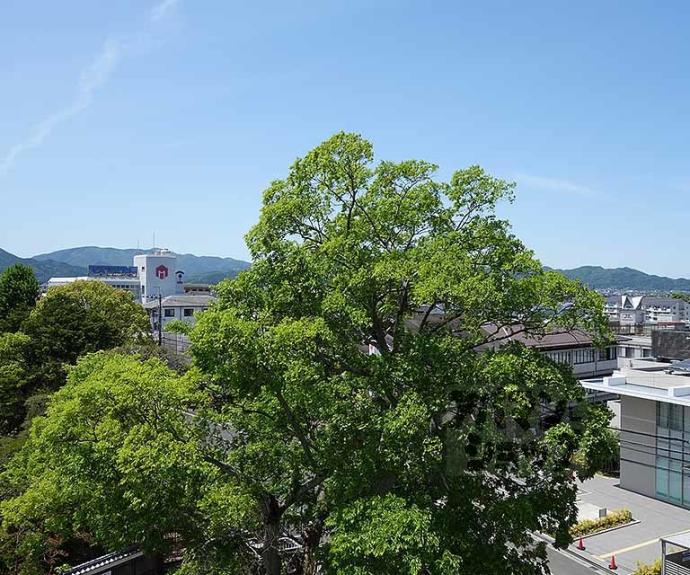 【イスターナ今井】間取