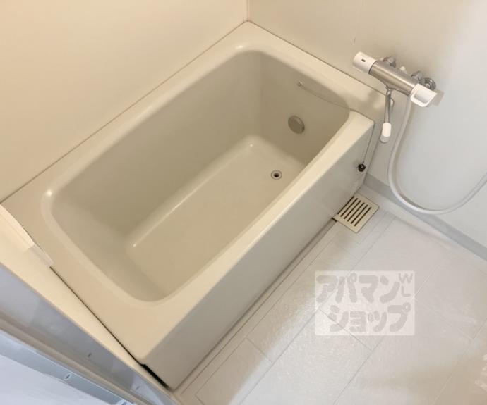 【イスターナ今井】間取