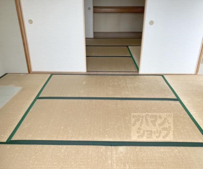【イスターナ今井】間取