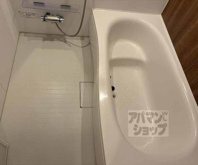 【カーサデルソーレⅡ】間取