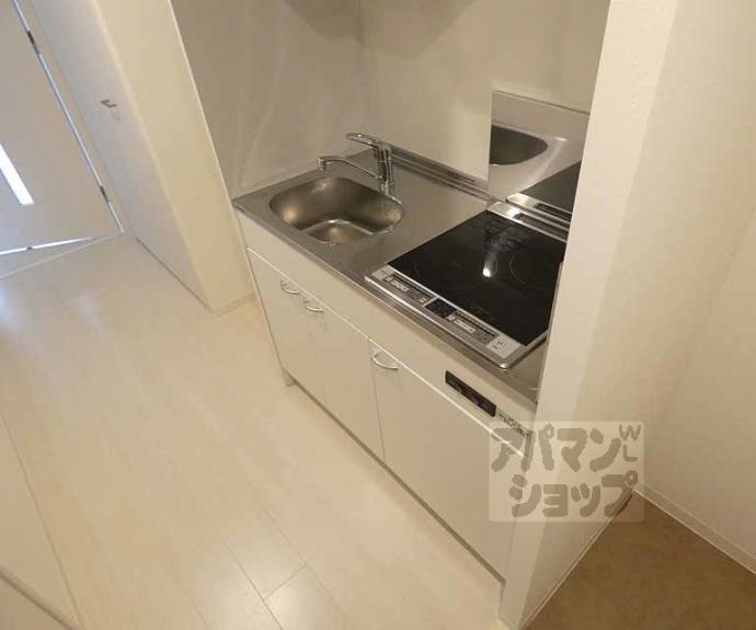 【Ｖｉｎｅ　Ｏａｋ　Ａｇｅｈａ（バインオークアゲハ）】間取