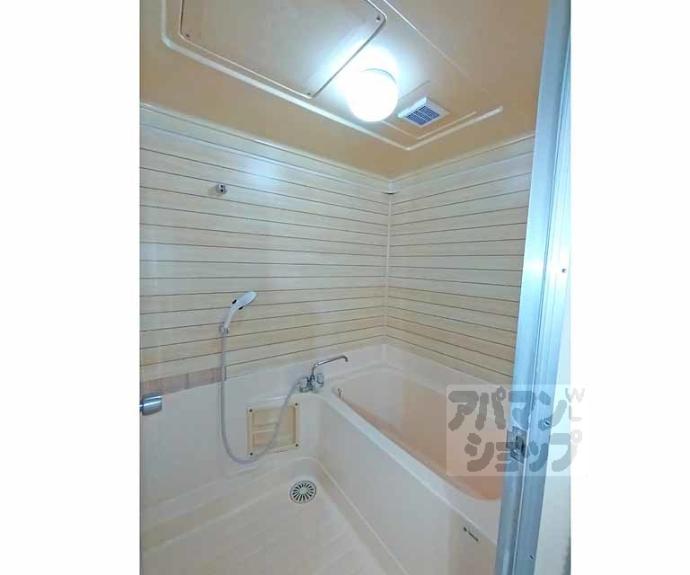 【コトーハイツ伏見稲荷　Ｃ棟】間取