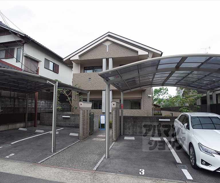 コンチネンタルオオサギ