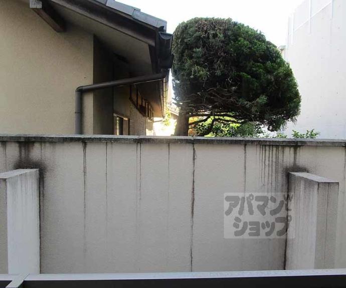 【シャーメゾン桜木】間取