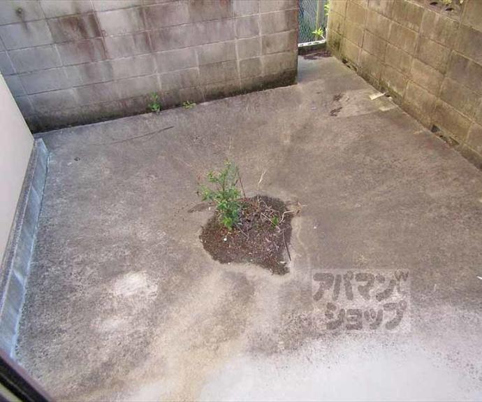 【サンフォレスト北白川】間取