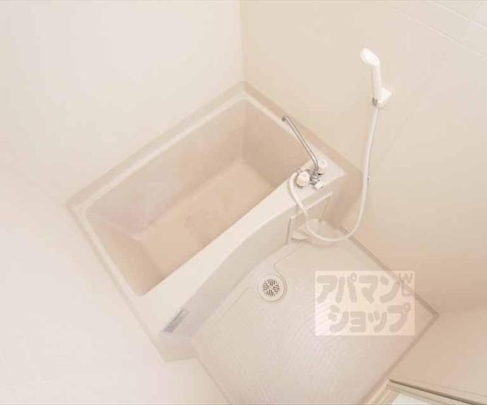 【ガーネット鞠小路】間取