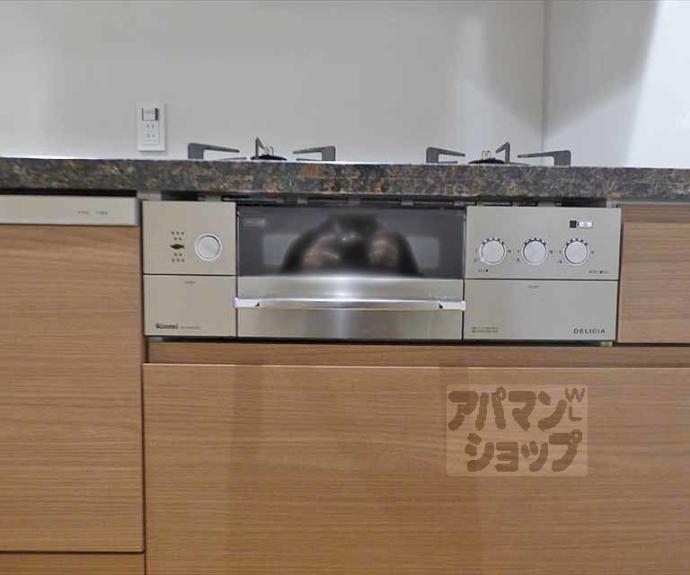 【ザ・京都レジデンス岡崎神宮】間取