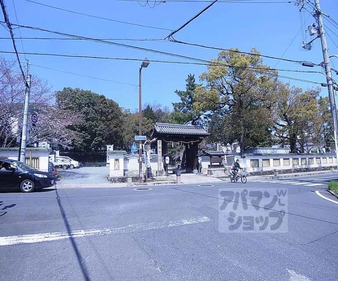 【ウィルコート山崎】間取