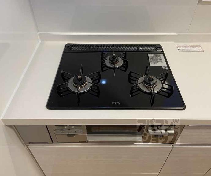 【Ｓｏｕｒｉｒｅ　Ｅｎｓｅｍｂｌｅ】間取