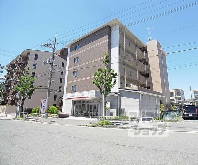 【D・マローネ 桂】間取