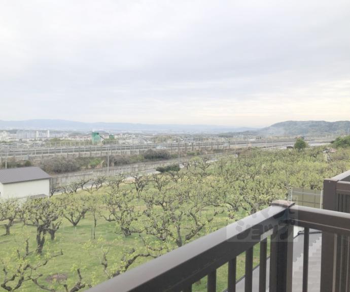 【大枝西長町テラスハウス4-23】間取