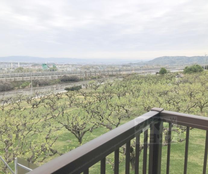 【大枝西長町テラスハウス４－２３】間取