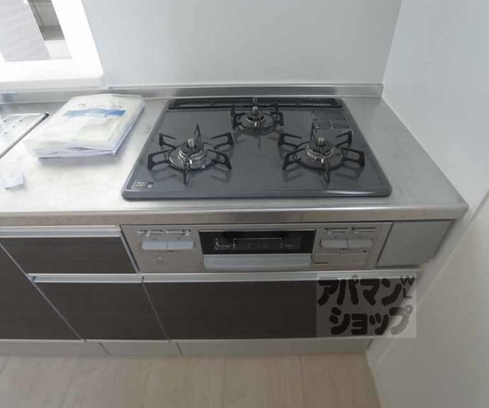 【シャーメゾン中路】間取