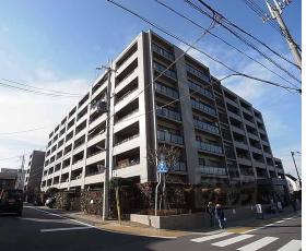 サーパス西向日：間取図