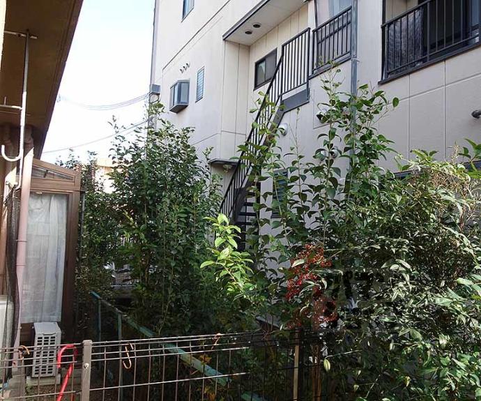 【パルデンス長岡京】間取