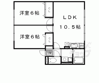【フレンドコスモス】