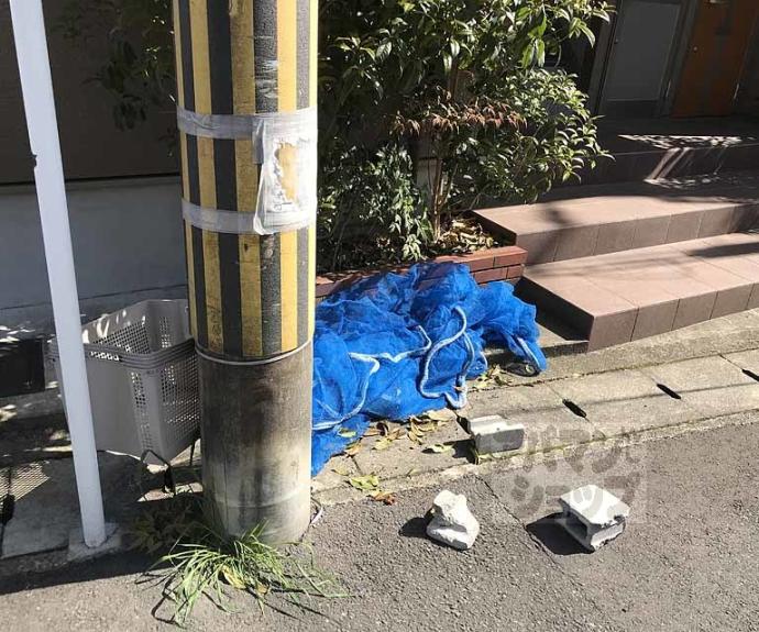 【嵐山ハイツ】間取