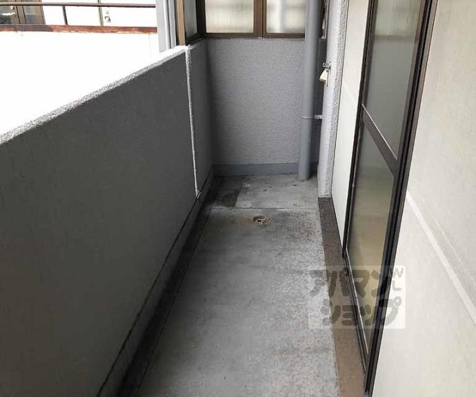 【プラザ上桂】間取