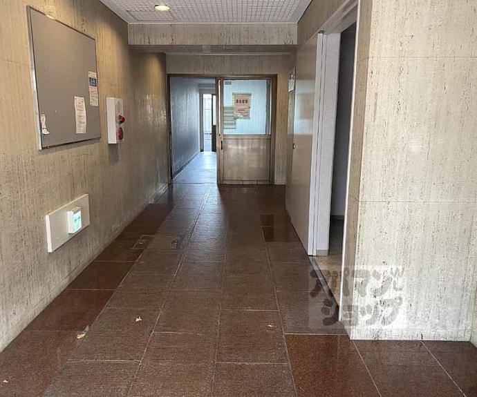 【プラザ上桂】間取