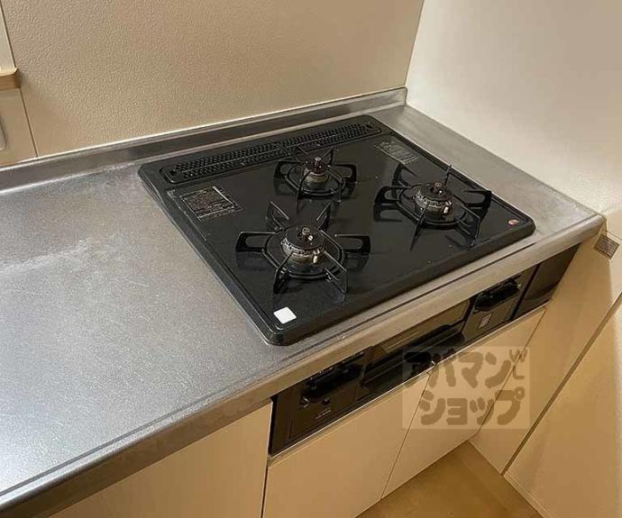 【エルメゾン洛西口】間取