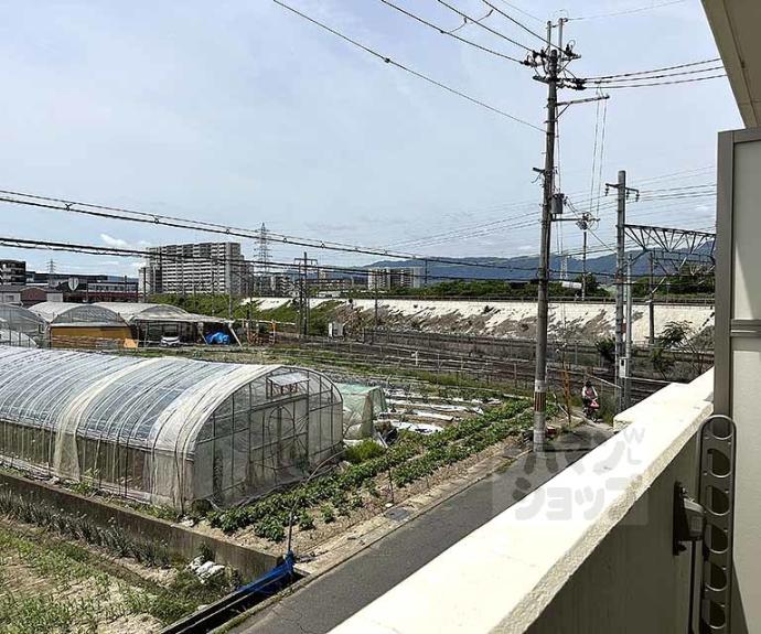 【エスペランサ桂川】間取