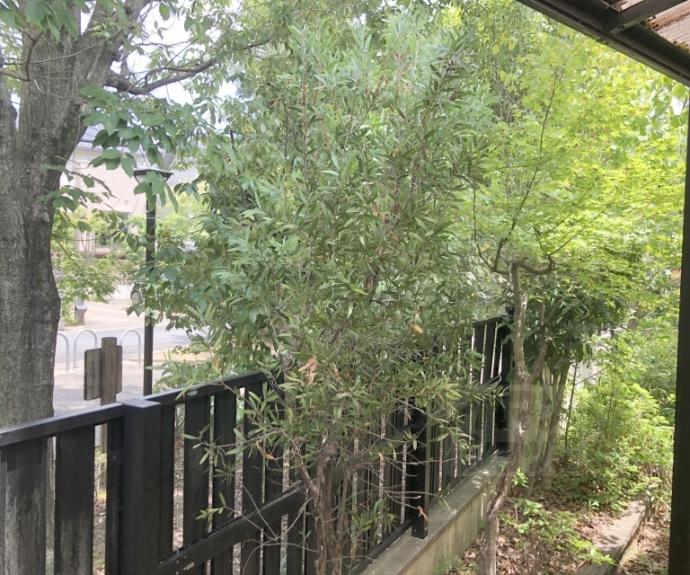 【御陵峰ヶ堂町一丁目貸家】間取