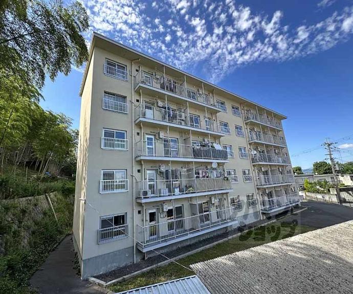 【樫原賃貸住宅】間取