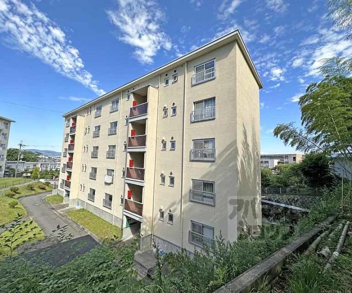 【樫原賃貸住宅】間取