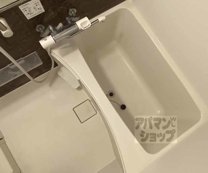 【MESA VERDE 桂】間取