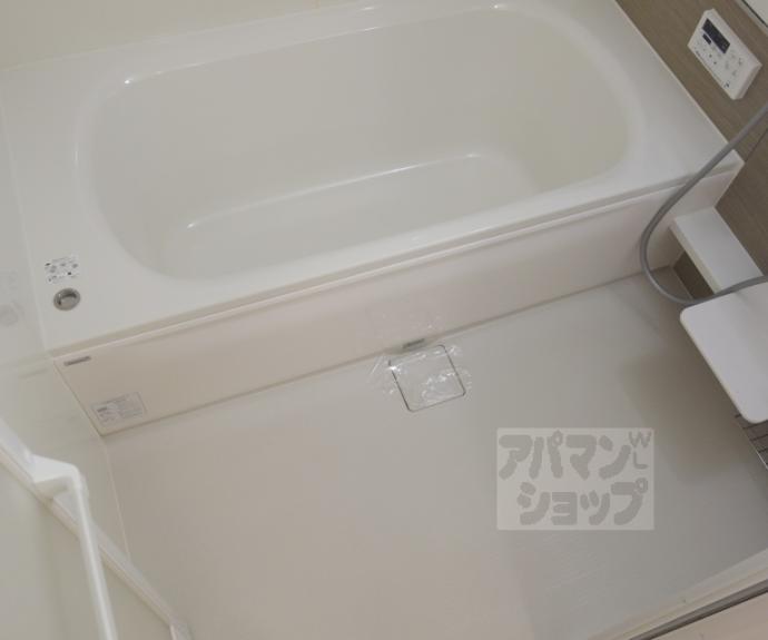 【ラ カーザセレーナ】間取