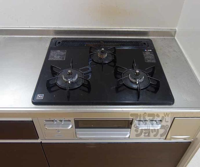 【Ｖｉｌｌａ　朱雀】間取