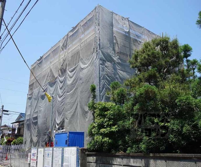 【シャーメゾン長岡】間取