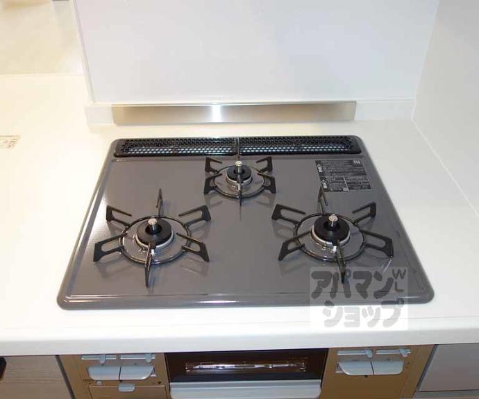 【メゾン ド シバタ】間取