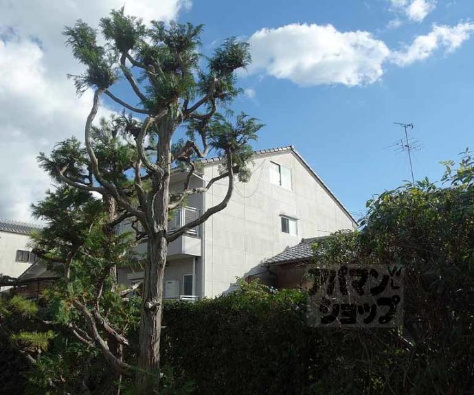 【グランツ山田】間取