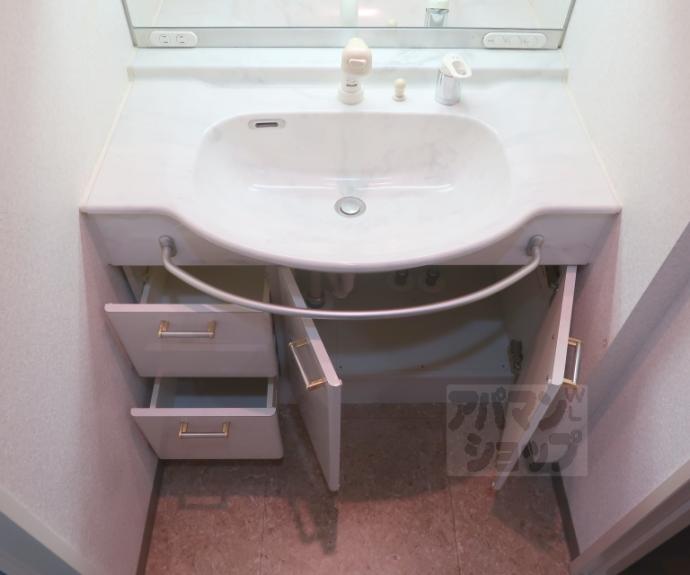 【パデシオン京都駅北】間取