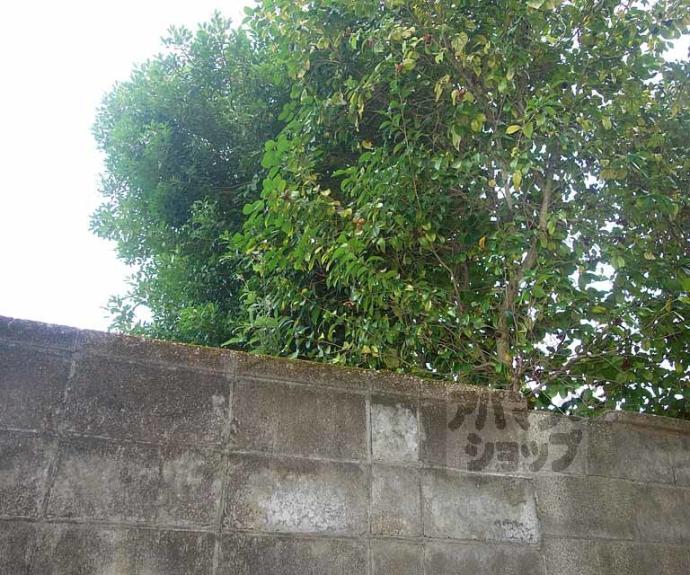 【イースト東福寺】間取