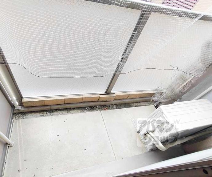 【Ｓｈｉｎｅ蛸薬師】間取