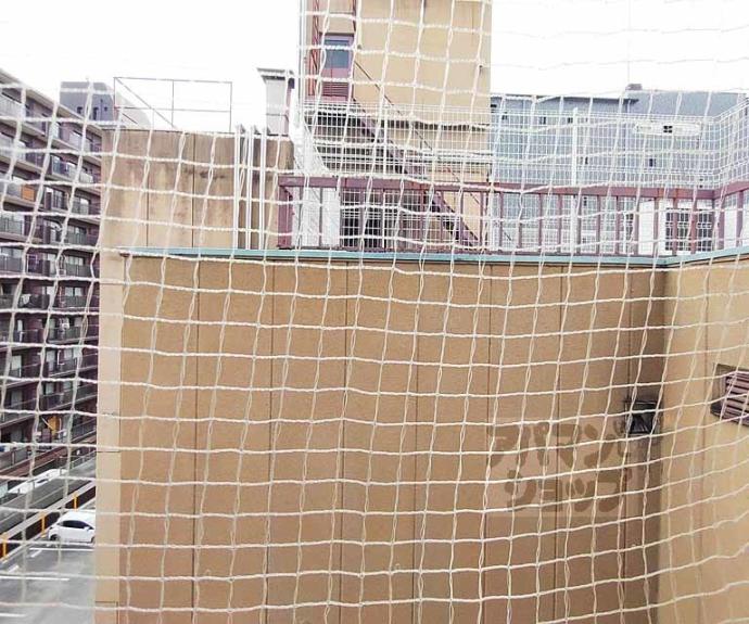 【Ｓｈｉｎｅ蛸薬師】間取