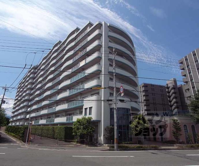 【ディオフェルティ淀リヴィエール】間取