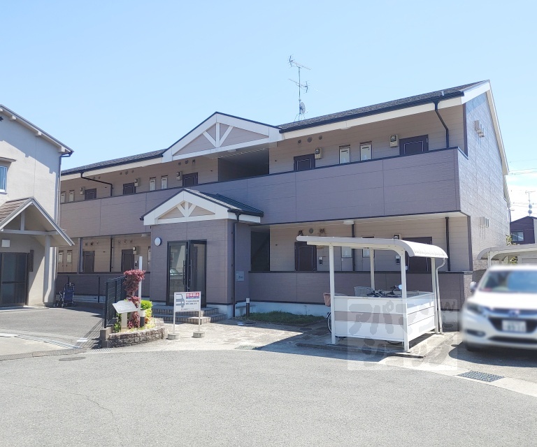 スプリングフォレスト