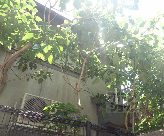 【リーガル京都東本願寺前】間取