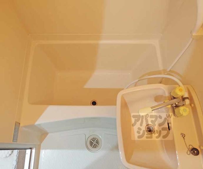 【メゾン桃栄Ⅱ】間取